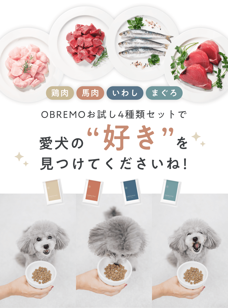 愛犬の好きを見つけてくださいね