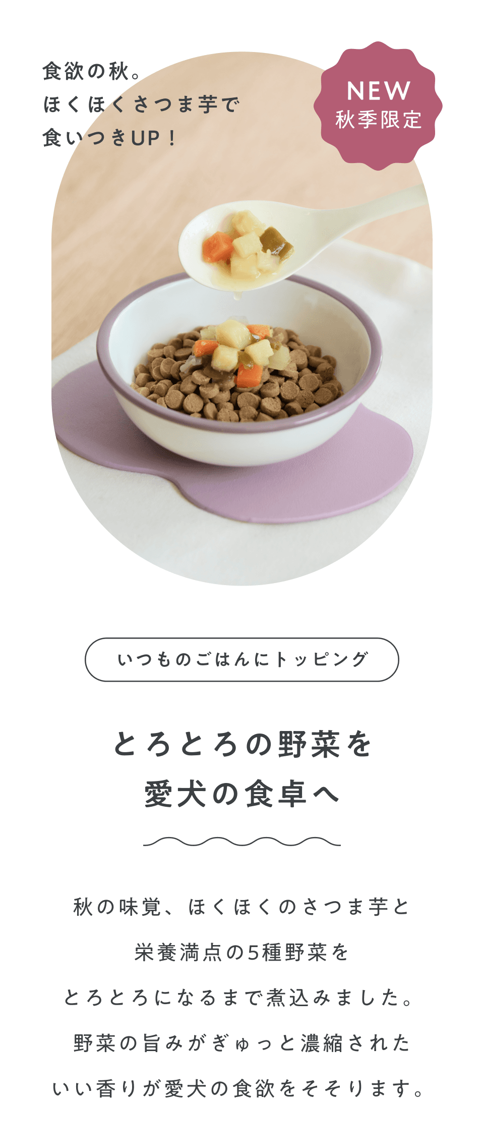 ファーストビュー