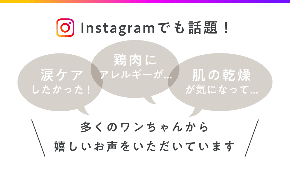 Instagramでも話題!